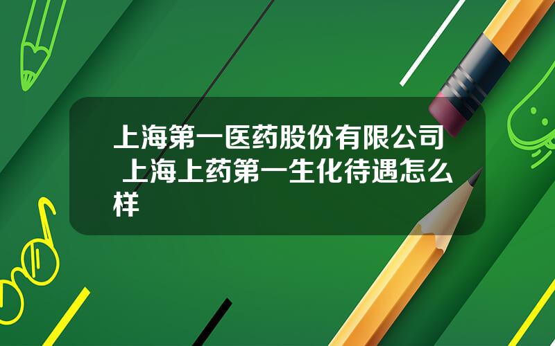 上海第一医药股份有限公司 上海上药第一生化待遇怎么样